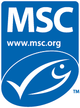 [Translate to Spanish:] blue msc logo
