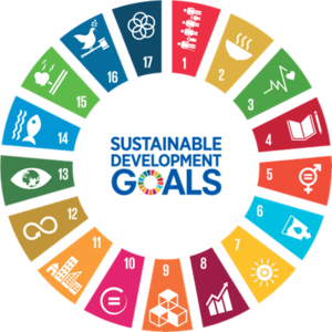 Roda SDG da ONU