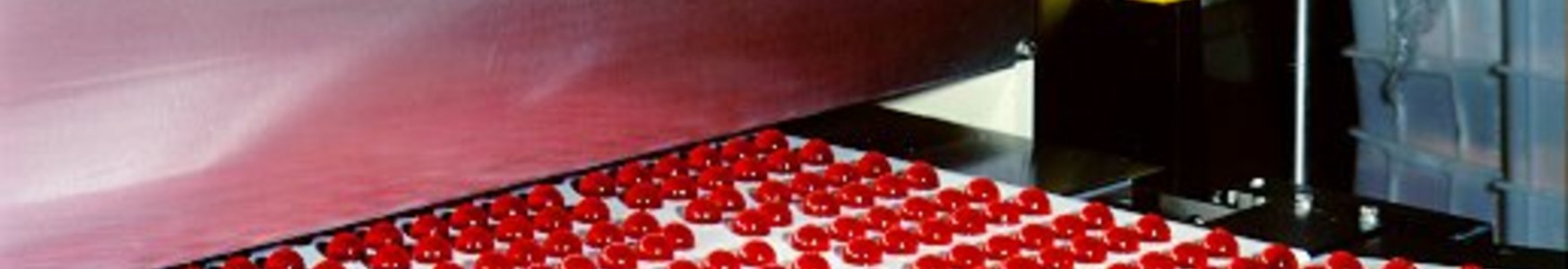 [Translate to Portuguese:] manufacturing of functional gummies