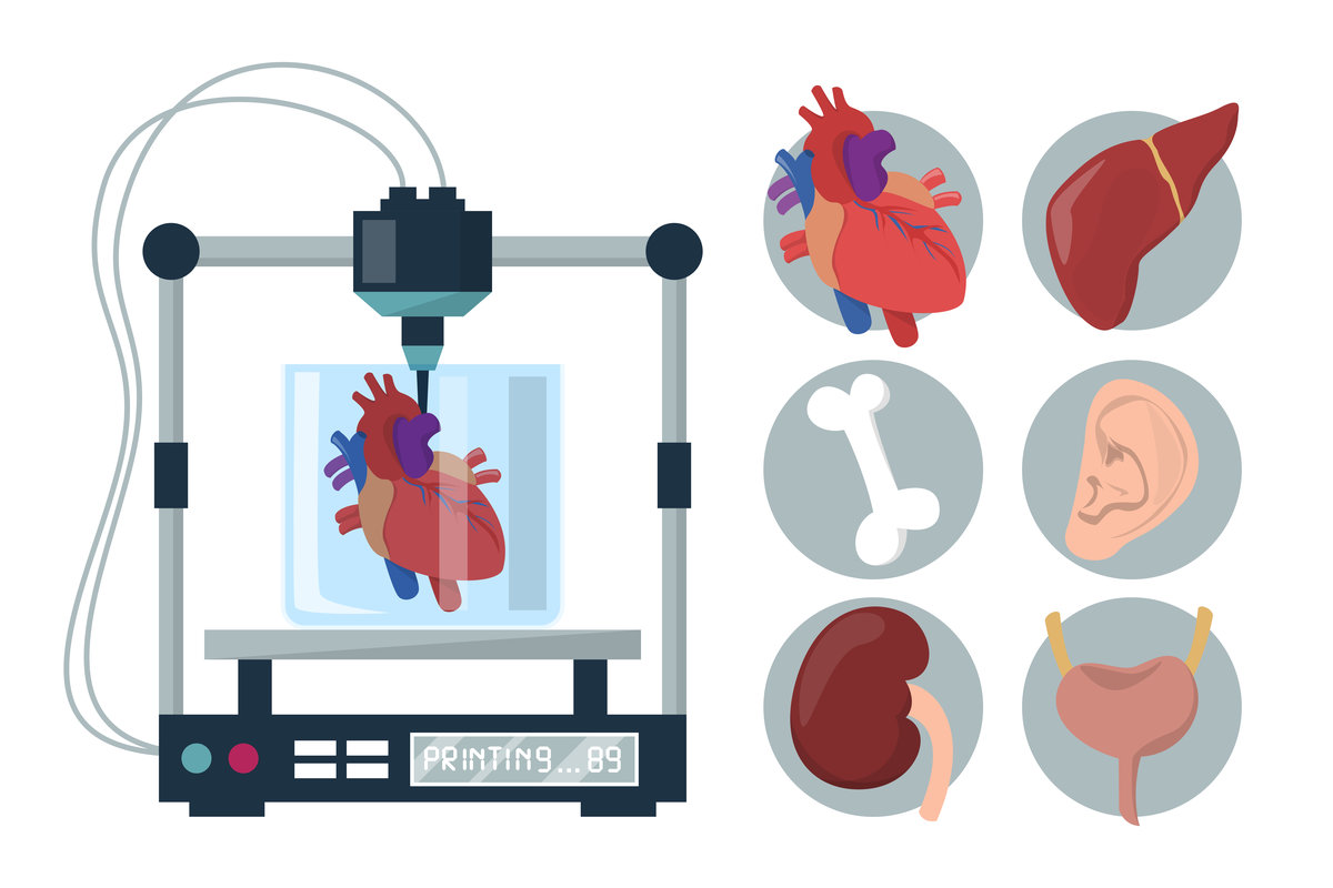 impresión 3D de órganos