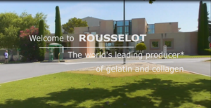 A video which explains about the career and life at Rousselot