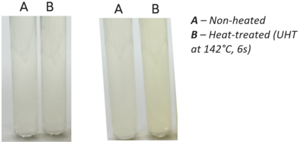 10% w/w Peptan solutions: ph 6.5 (left) and pH 3.5 (right)