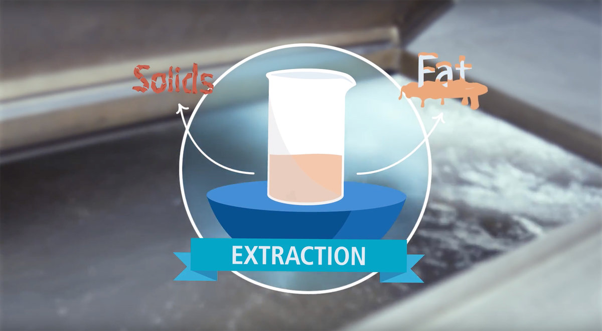[Translate to Spanish:] A video of how gelatin is made