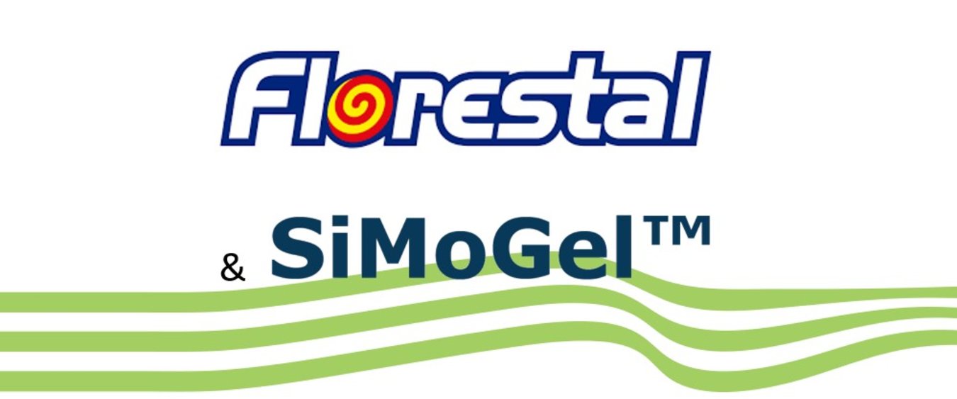 Next-level texture & stability with Florestal