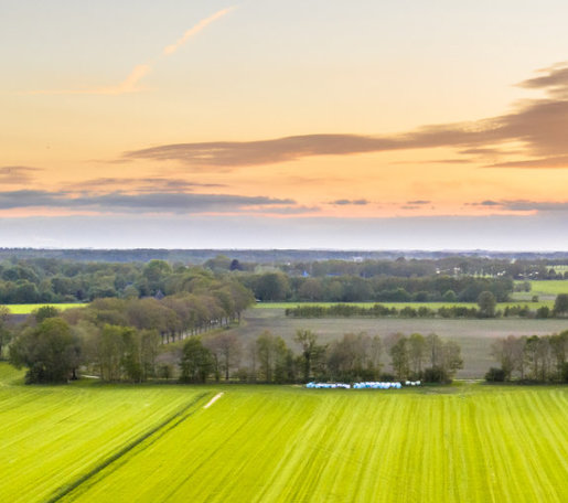  Crop field from birds eyeview 