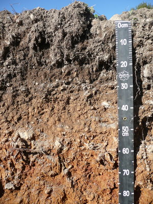 soils on 30cm