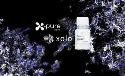 Rousselot and xolo strengthen collaboration in 3D Bioprinting