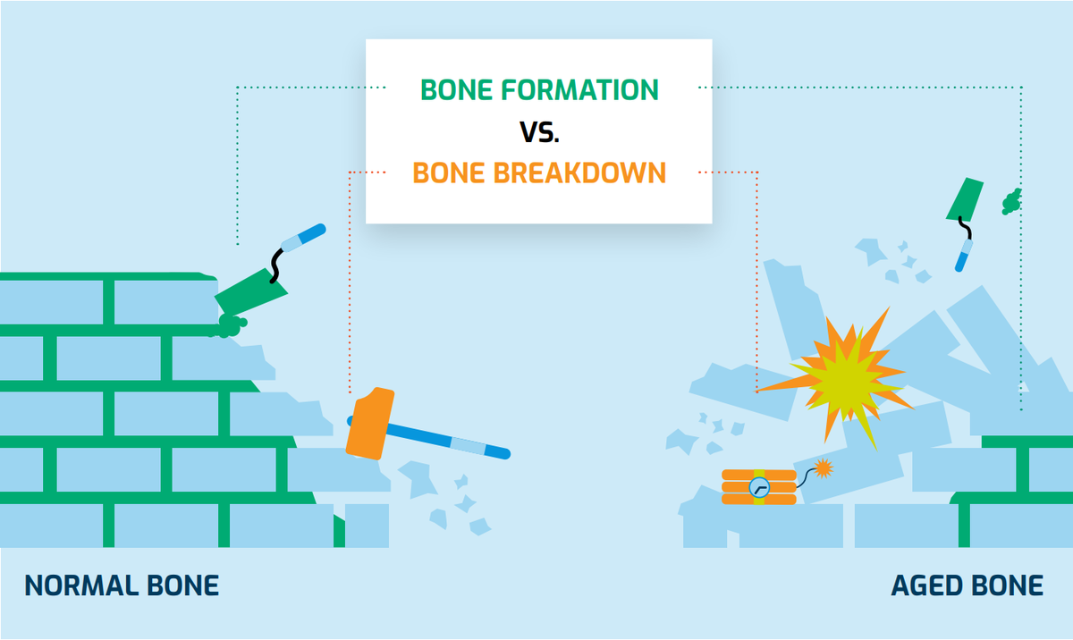 Bone health-bone formation