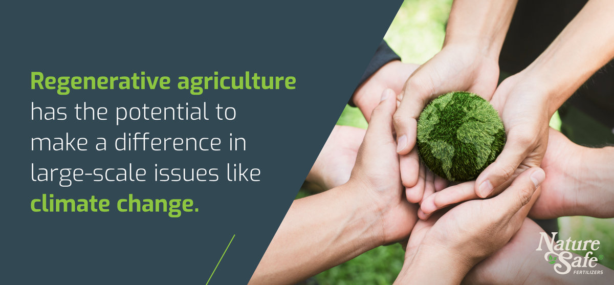 Regenerative agriculture has the potential to make a difference in large-scale issues like climate change - infographic