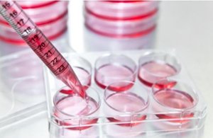 X-Pure gelatin in regenerative medicine – sample being pipetted into spot plate