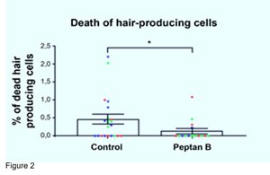muerte de las células productoras de pelo