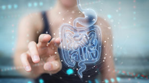 percepção e potencial dos peptídeos de colagénio sobre a saúde digestiva