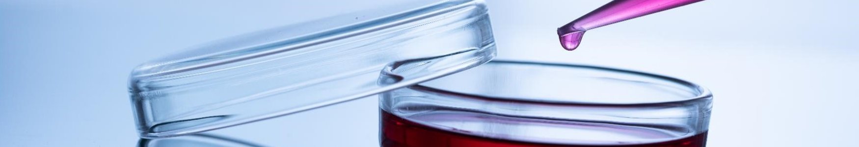 Purified gelatin for cell culture and in vitro testing 