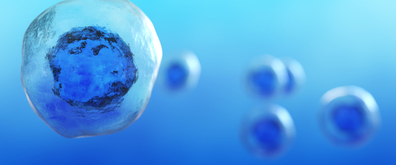 Image of blue stemcells