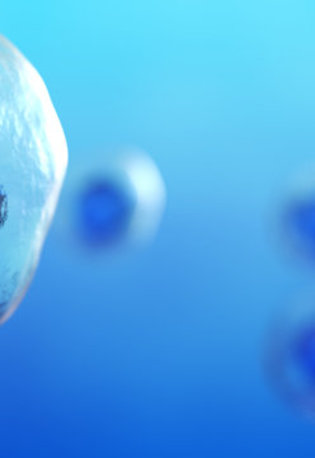 Image of blue stemcells