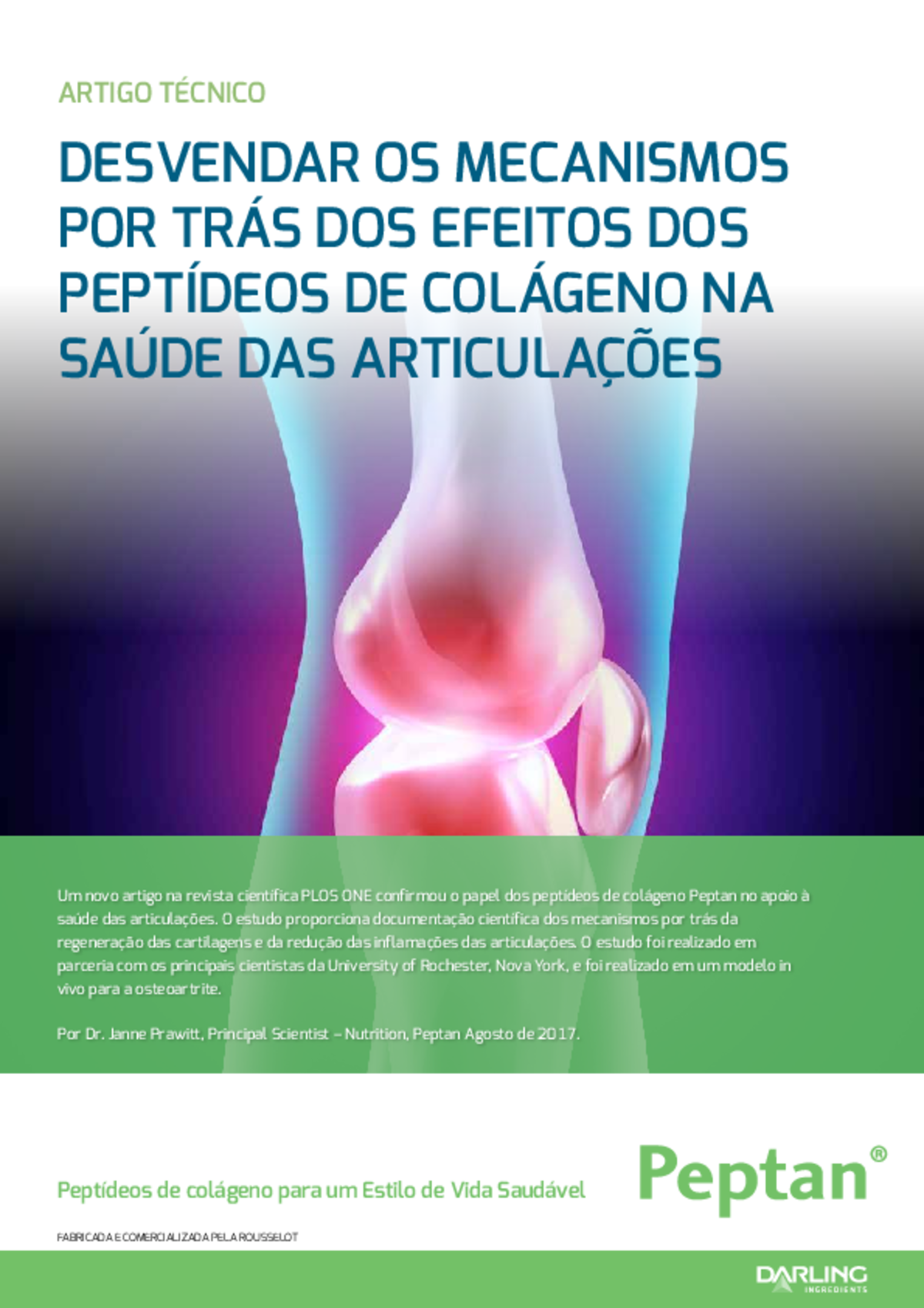 [Translate to Spanish:] Peptan whitepaper "collagen peptides for joint health"